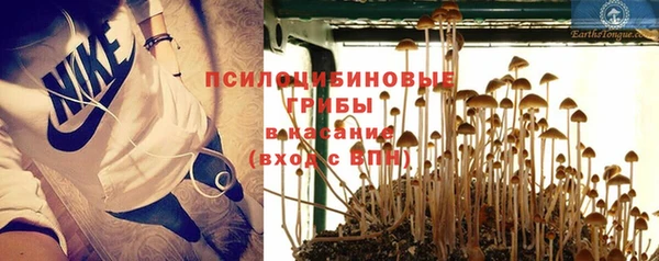 прущие грибы Алексеевка