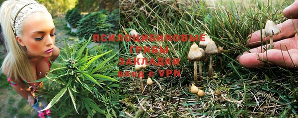 2c-b Ростов