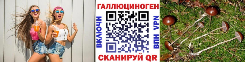 даркнет какой сайт  цена наркотик  Амурск  Псилоцибиновые грибы Magic Shrooms 