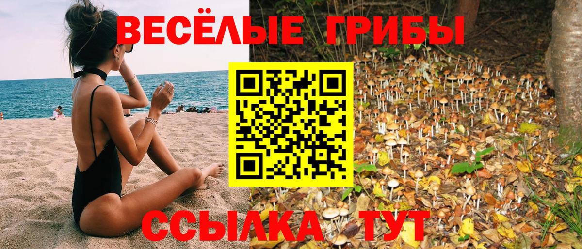 Псилоцибиновые грибы мухоморы  Псилоцибиновые грибы мицелий  Амурск  Вход с VPN 